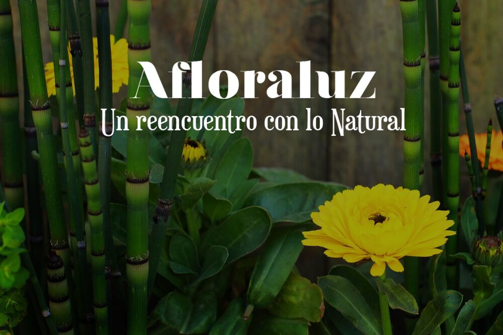 Afloraluz — foto 3